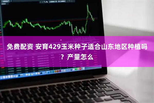 免费配资 安育429玉米种子适合山东地区种植吗？产量怎么