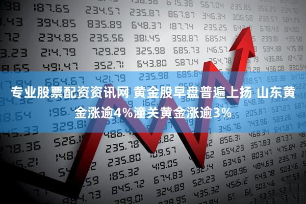 专业股票配资资讯网 黄金股早盘普遍上扬 山东黄金涨逾4%潼关黄金涨逾3%