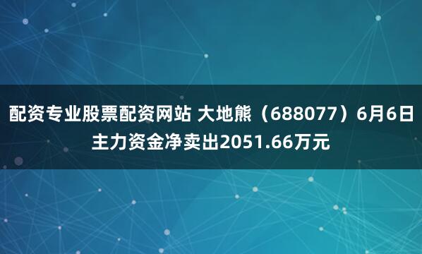 配资专业股票配资网站 大地熊（688077）6月6日主力资金净卖出2051.66万元